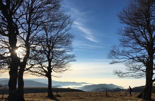 Schlaf aus im Schwedenhaus - Foto 19