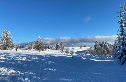 17 AM BERG - Foto 69