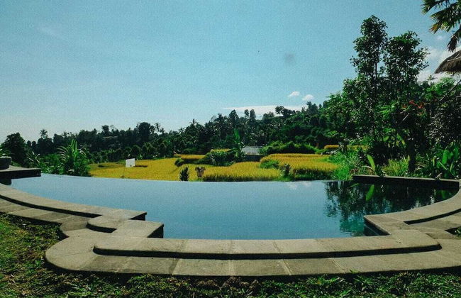 Pondok Apsari 2 - Foto 20