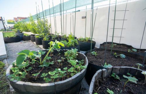 Palomino house - Foto 62