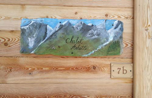 CHALET ARLETTE - Photo 29