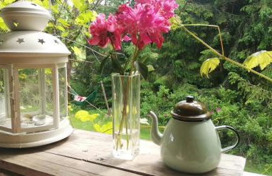 Włudzikówka - Foto 11