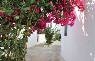 CASA AMARO - Foto 32