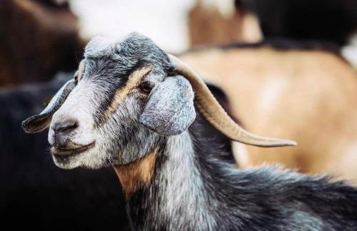 Villa VISTALEGRE relax con increíbles vistas - Foto 56