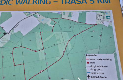 Noclegi "LAS WYPAS" Trzcianka - Foto 51