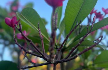 Lindo Sítio Estilo Moderno - Foto 56