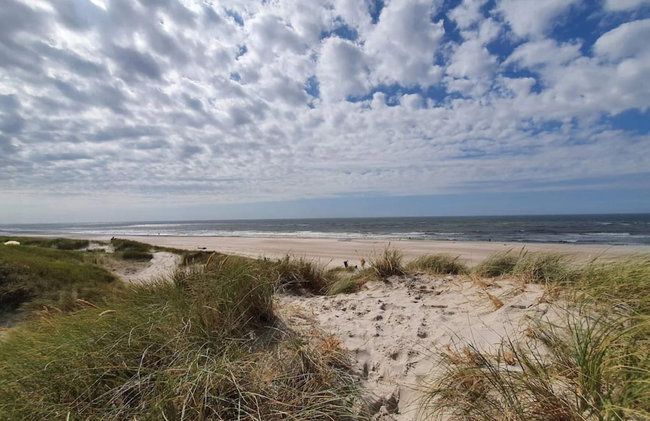 4 Star Holiday Home in Henne - Foto 47