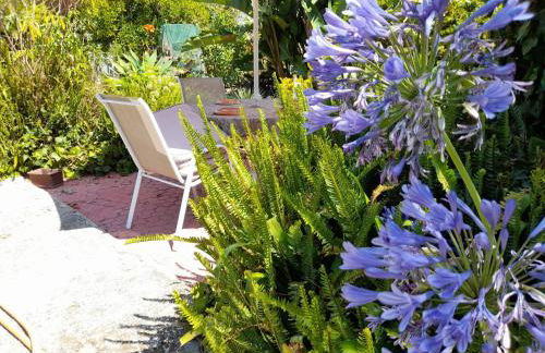 Villa Casa das Palmeiras - Foto 35