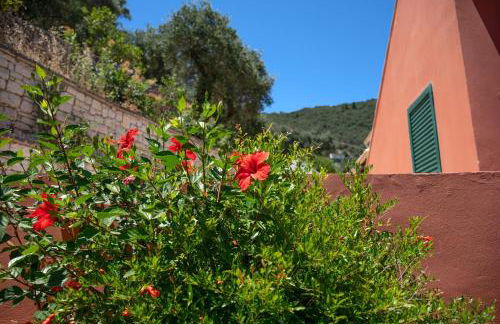 Takis House in Katavolos - Foto 92