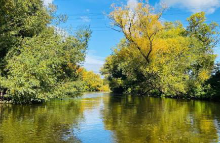 Ferienwohnung Joli- inklusive Parkplatz, Bettwäsche, Handtücher und WLAN - Foto 25
