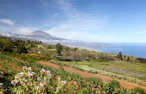 los diablitos 1a - Foto 31