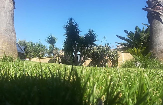 Affittacamere Paduli Piani - Photo 33