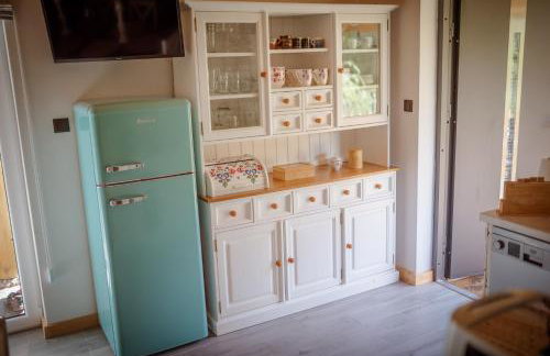 Niezapominajka - Foto 14