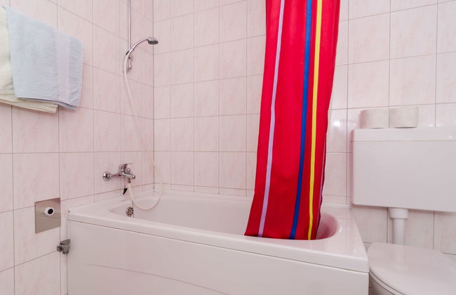 Plavac Mali - Photo 10