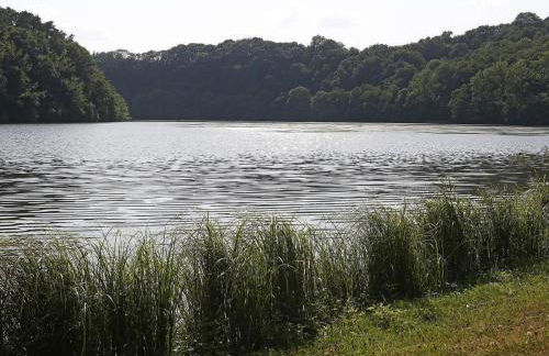 Holiday Home mit Garten im Naturpark Südeifel by Interhome - Foto 15