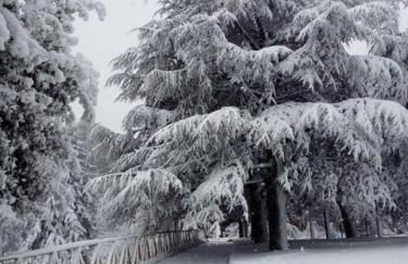 FRONTE DUOMO - Foto 28