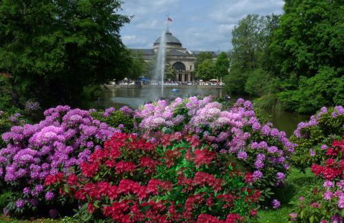 Ferienwohnung-Wiesbaden-Top3 - Foto 15