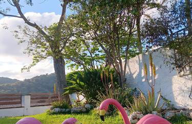 Design villa with sea views - Foto 38
