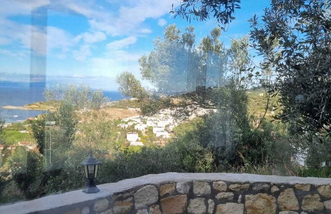 Sole Foca ( Ages 12+ ) - Foto 51