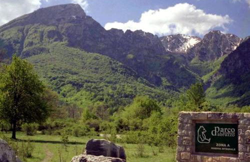 Villa sul mare - Foto 57