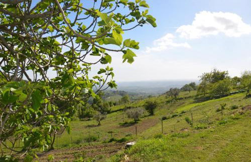 Casa Franceschini - Foto 1