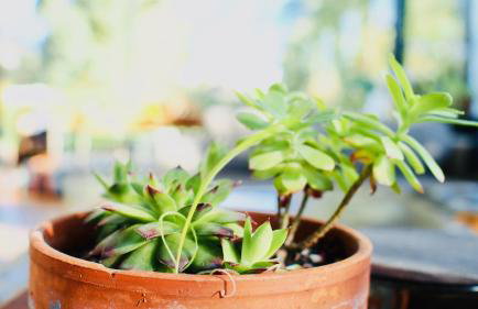 Oasis de Caudéran - Foto 26