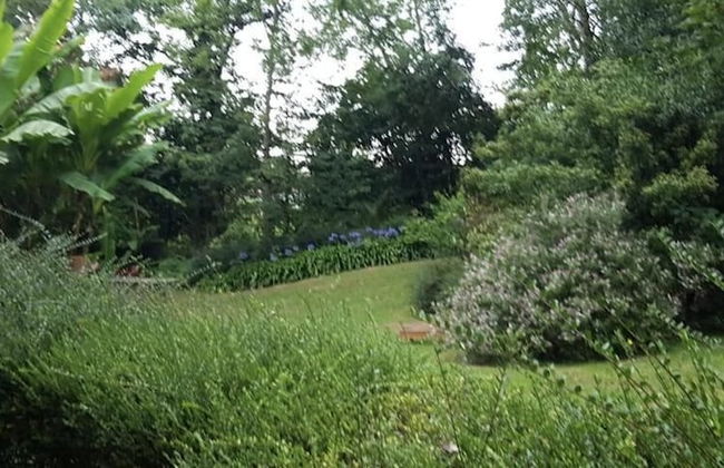 Bosque de Cuevas - Foto 46