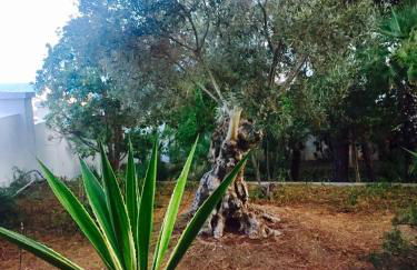 Le Due Pigne - Foto 57