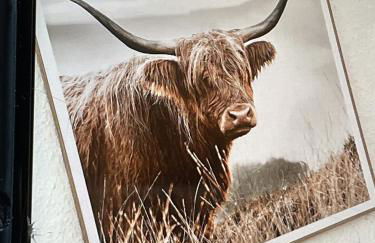 Plätzchen am Krebsberg - Photo 6