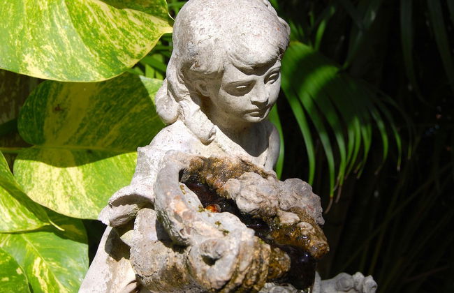 Siesta Palms By the Beach - Photo 79