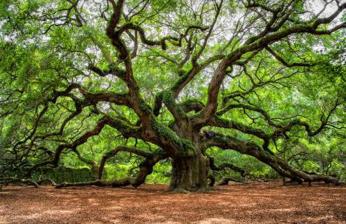 1155 Summer Wind Ln - Photo 58