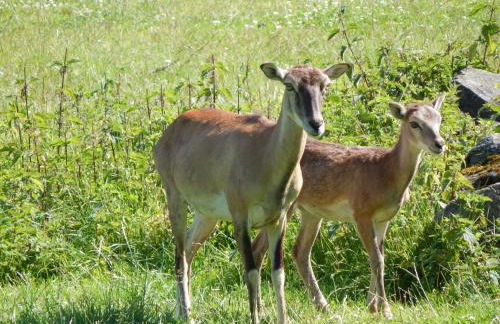 Zur-kleinen-Auszeit - Foto 15