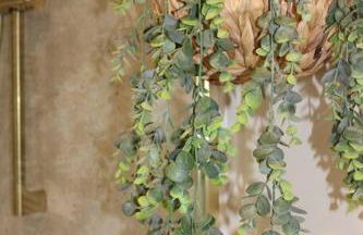 La Cachette du Bonheur - Foto 17