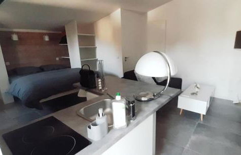 Cozy studio house with terrace 15 min from Paris - Photo 9