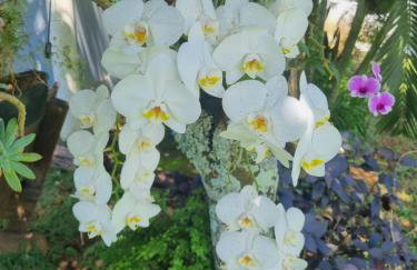 Chácara Cantinho dos Sonhos - Foto 48