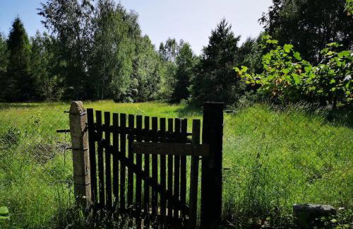 Sielanka Aleksandria - Foto 35