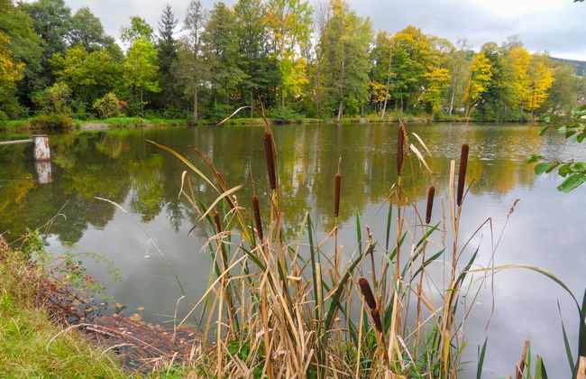 Újezd Svatého Kříže - Foto 31