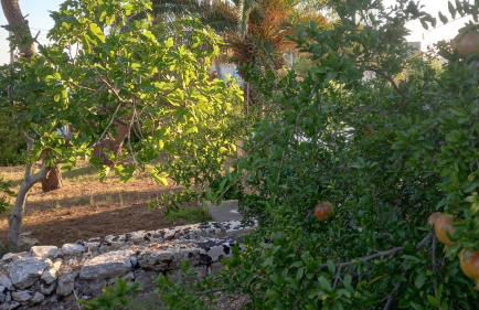 Romantico Monolocale - Foto 7