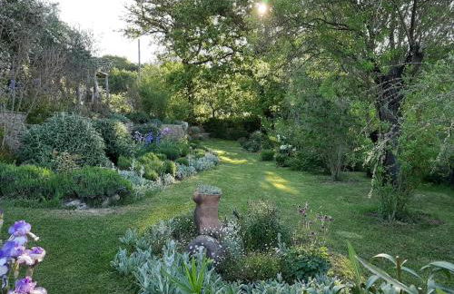PERGOLA at Le Pietraie a cottage with many flowers - Foto 16