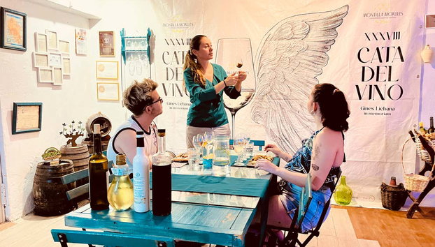 Cata de quesos y vinos en Córdoba - Foto 2, Un momento de la explicación, durante la degustación!