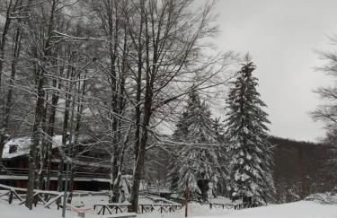 Casa nel bosco - Foto 20