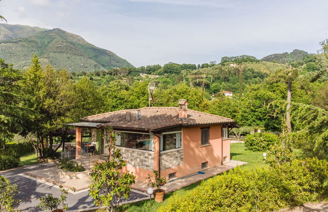 Verde Versilia - Foto 2