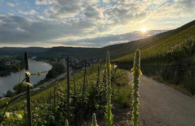 Haus Rosalinde - Photo 30