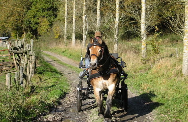 Gite at the Calm way in the Center - Foto 64