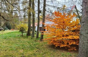 Pisary20 Dom w Masywie Śnieżnika - Foto 48