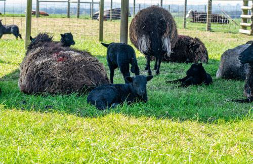 6 Squirrels Squat, Camp Tapnell - Foto 29