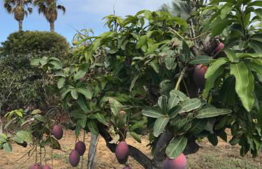 Finca La Punta - Foto 75