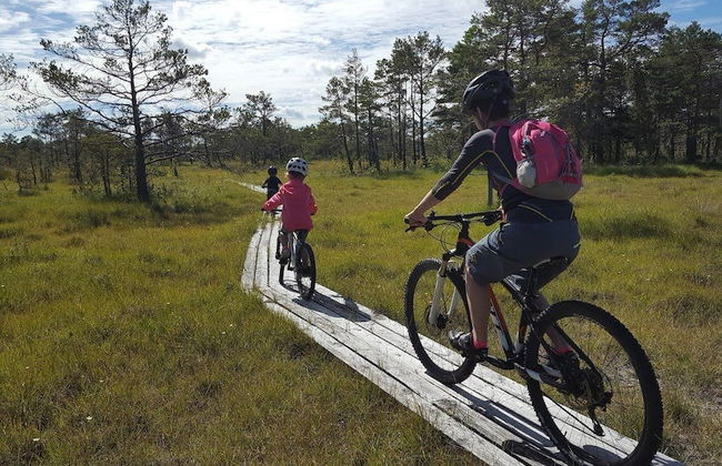 Slite Strandby - Foto 16