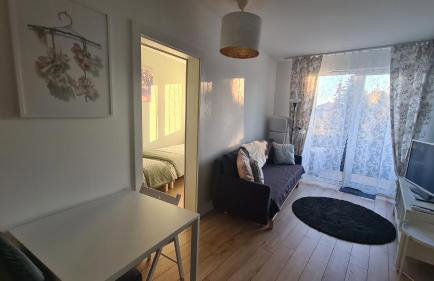 Apartament Dębowe Zacisze Tużycka - Foto 11