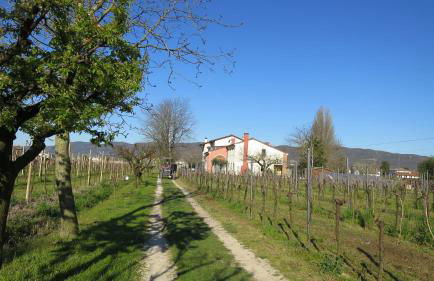 Agriturismo L'Albara - Wines, Pool & SPA - Foto 41